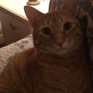 Meet your Posher, Jamie